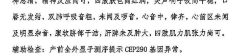 世界杯高清比赛观看平台-实锤了！“小洛熙事件”家属12项异议全是谎言，铁证打脸！两位新晋“百万”网红，即将接受正义审判